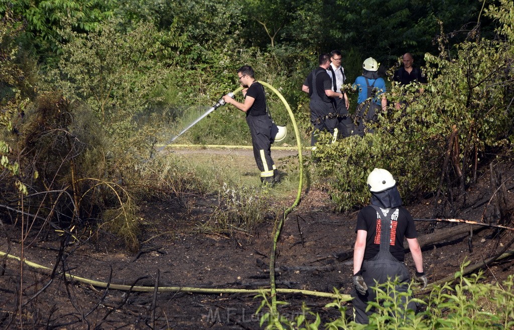 Waldbrand Koeln Hoehenhaus Hoehenfelder Mauspfad P139.JPG - Miklos Laubert